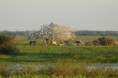 /album/en-pantanal-mt/en-foto-pantanal-ii-jpg1/